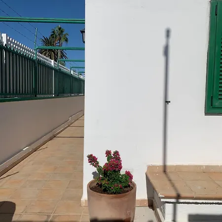 Felicidad * Playa del Ingles (Gran Canaria)